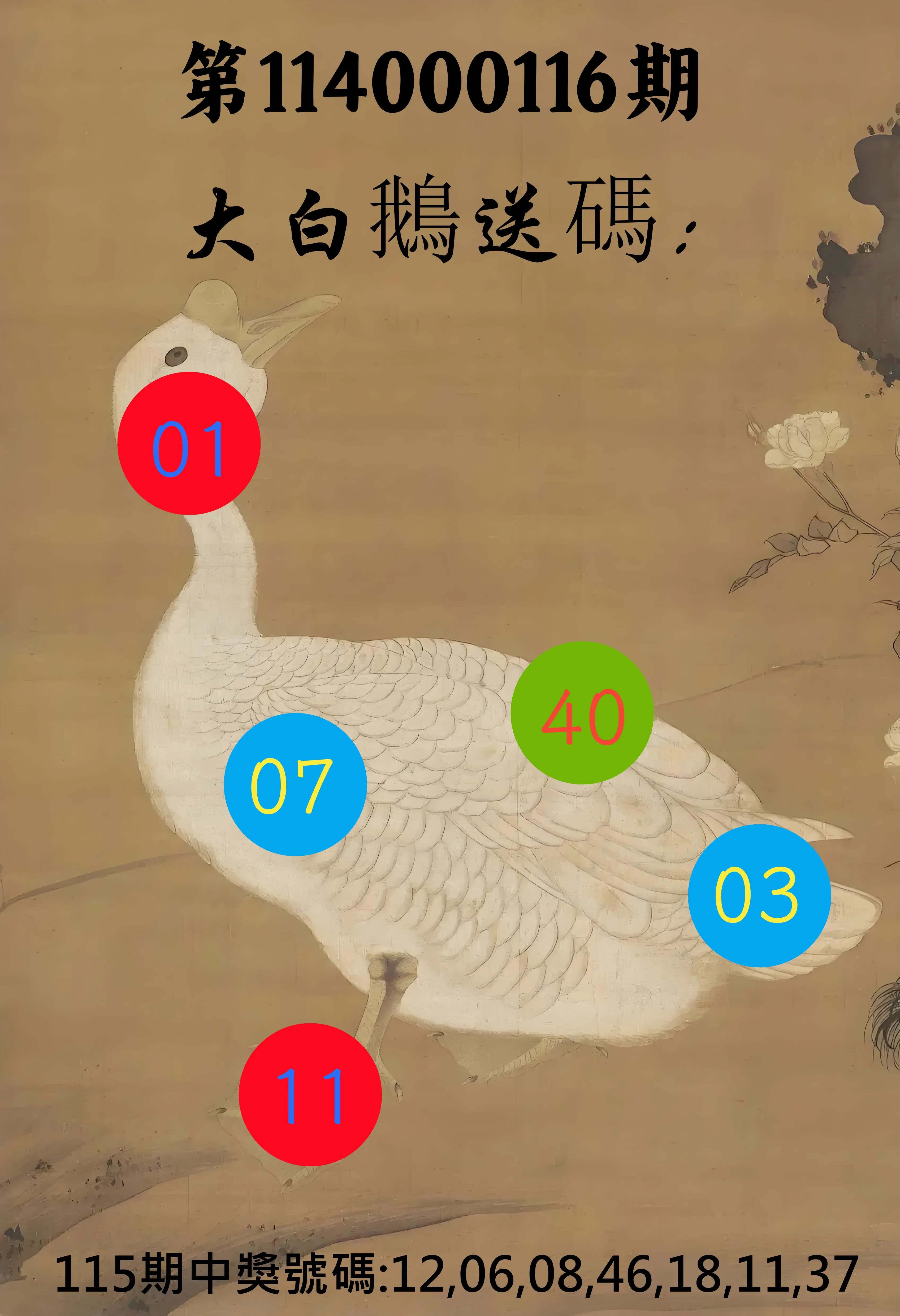 大樂透第114000116期(12/23)大白鵝送碼